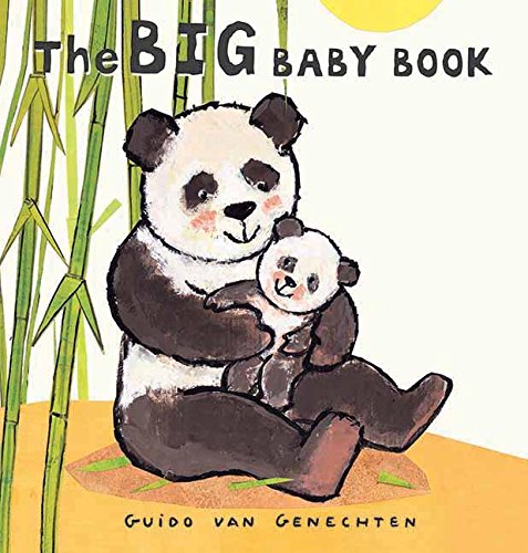 The Big Baby Book