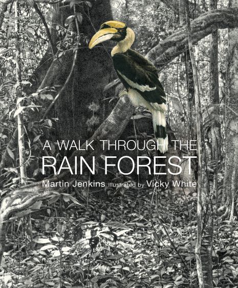 A Walk Through the Rain Forest