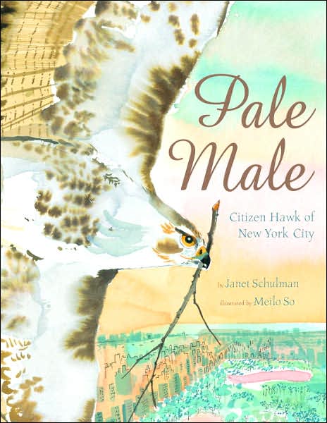 Pale Male: Citizen Hawk of New York City