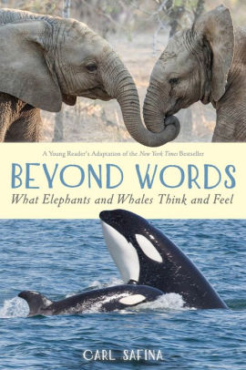 Beyond Words:  What Elephants and Whales Think and Feel