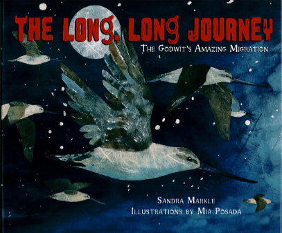 The Long, Long Journey: The Godwit's Amazing Migration