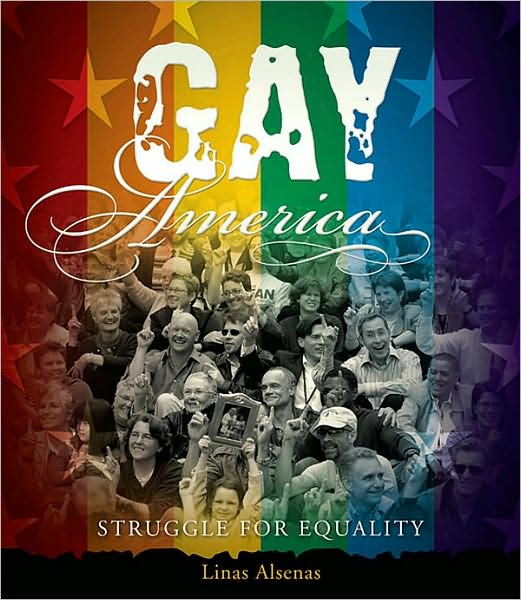 Gay America: Struggle for Equality