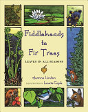 Fiddleheads to Fir Trees: Leaves in All Seasons